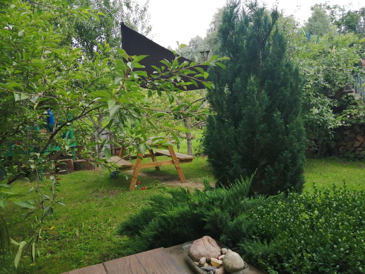 Zielony Domek W Sztynorcie Sztynort Exterior foto